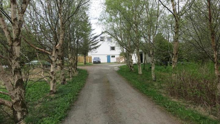 Airbnb And Booking At Postvegen 95 Vigra エクステリア 写真